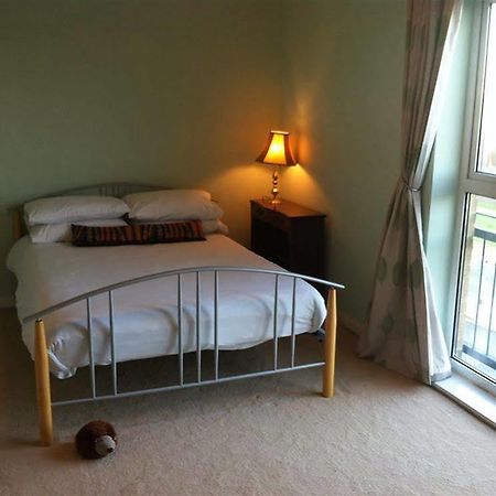Tiger Bay House Apartment Кардиф Екстериор снимка