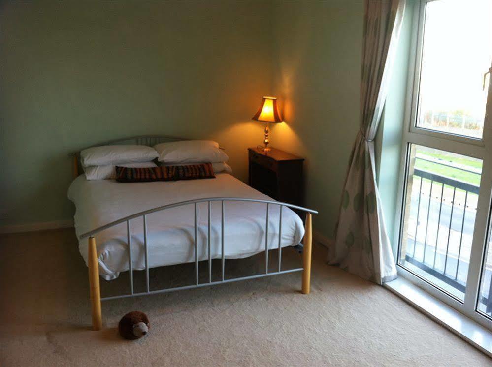 Tiger Bay House Apartment Кардиф Екстериор снимка